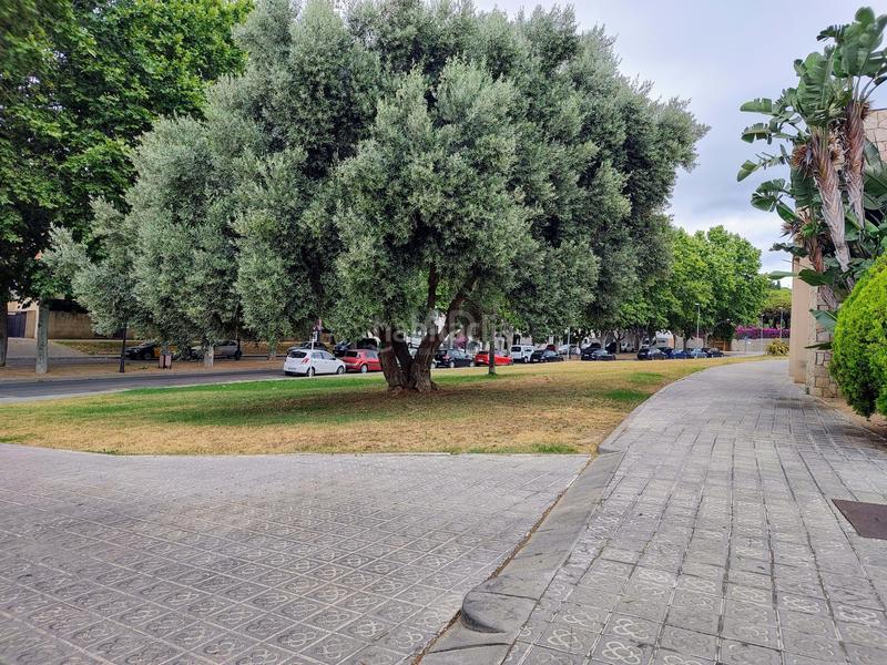 Foto 918aa419-6077-4489-879c-cec9c7de09c2. Piso en Canet de Mar