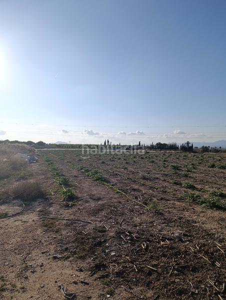 Foto 270a86aa-2306-4fb6-b8bc-fe611f870f09. Rural plot in La Marina Elche / Elx