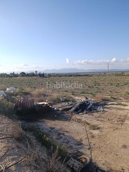 Foto 3f9e3791-46fe-443c-b347-e21353a12cf1. Rural plot in La Marina Elche / Elx