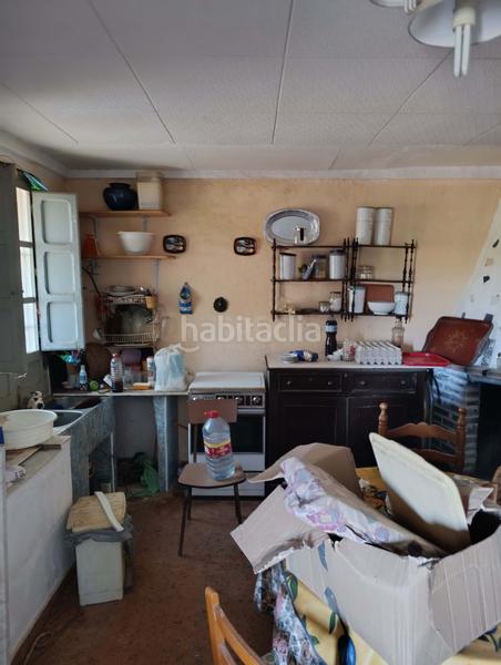 Foto 59788960-ed94-4390-b6a5-e8dfde74fbd9. Rural plot in La Marina Elche / Elx