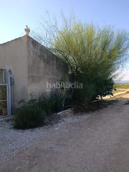 Foto 5d071032-2020-4b45-9d40-e51cdc37881e. Rural plot in La Marina Elche / Elx