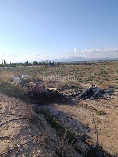 Foto 61a450f7-9318-4e68-86c9-276daf7b713a. Rural plot in La Marina Elche / Elx