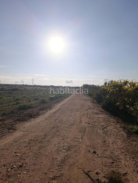 Foto 7213fb55-ba3c-4938-9e96-3dada4230fcd. Rural plot in La Marina Elche / Elx