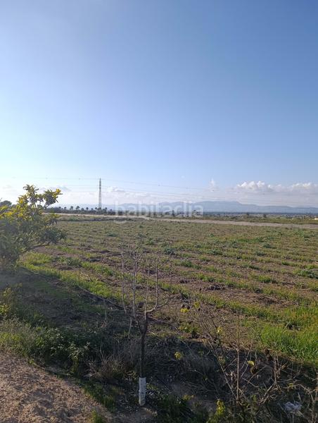 Foto 7796d05b-adfb-4558-8479-371ba18c2dc0. Rural plot in La Marina Elche / Elx