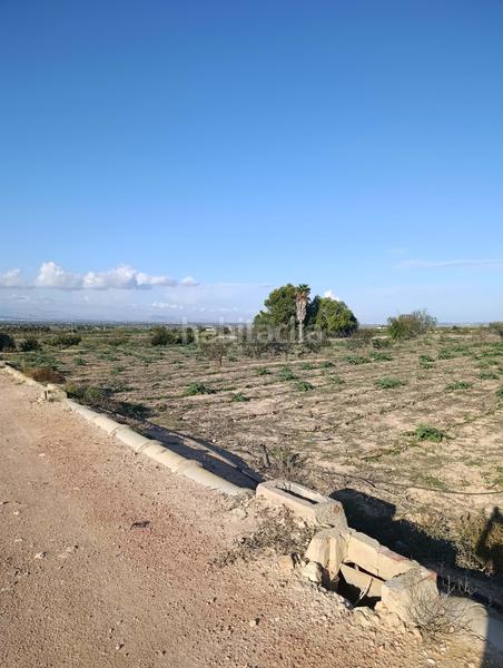 Foto b56580cd-8fab-4d2e-95a9-40f87ba409eb. Rural plot in La Marina Elche / Elx