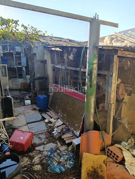 Foto 0ea4ac79-0660-40c9-bdd5-b15e89d5612f. Finca rústica en La Marina Elche / Elx