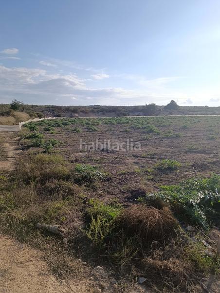 Foto 36c59e8d-b0b3-4999-9edf-c5629ed7c9d3. Finca rústica en La Marina Elche / Elx