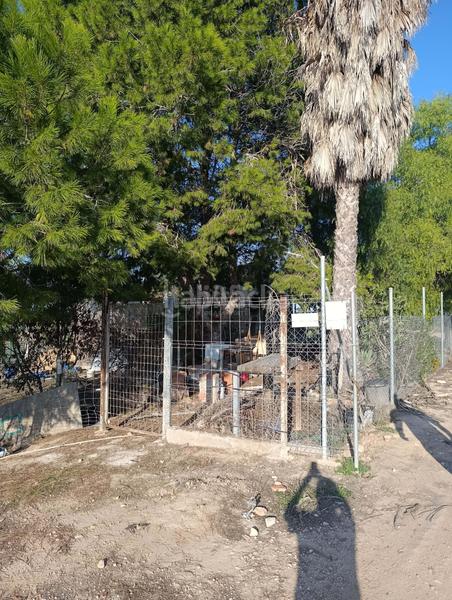 Foto 3fc14a4e-4670-41c4-933f-1458dd927f21. Finca rústica en La Marina Elche / Elx