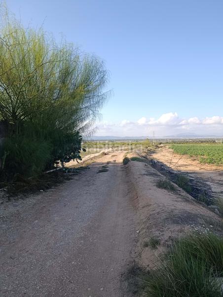 Foto 631c31e9-46f2-41f4-bb9a-b03af29ff6d9. Finca rústica en La Marina Elche / Elx