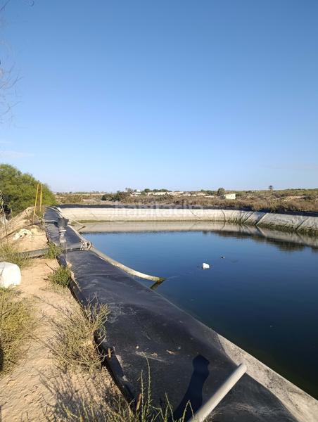 Foto baa85f1b-1f4a-4939-9bc0-f5fc8b532b62. Finca rústica en La Marina Elche / Elx