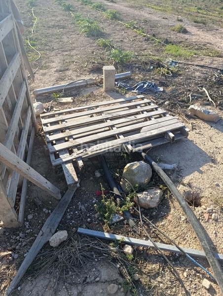 Foto d8023b13-c62c-475b-af3b-d2b38378c177. Finca rústica en La Marina Elche / Elx