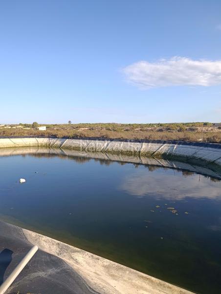 Foto f100eaf0-6c50-47e3-9b6e-d07deae03e1d. Finca rústica en La Marina Elche / Elx