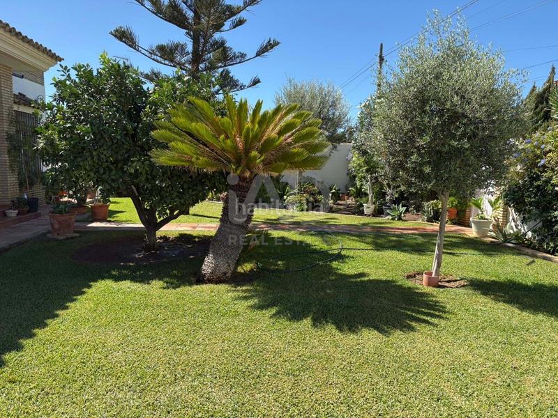 Foto 91856ec9-4c75-42a1-a359-e3700c160675. Chalet avec chauffage piscine dans Los Gallos Chiclana de la Frontera