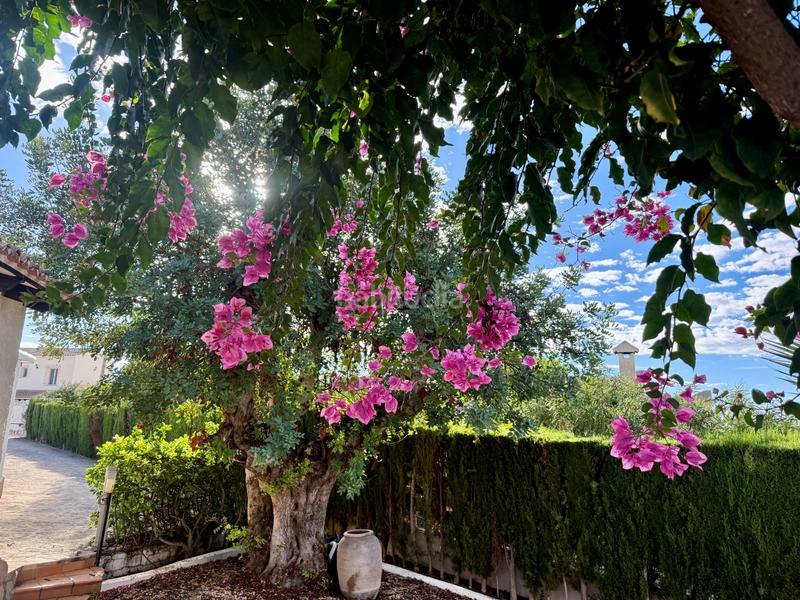 Foto 1577f91c-08e2-4112-8045-b7be363b930a. Haus mit heizung parking pool in Benimeit-Tabaira Moraira