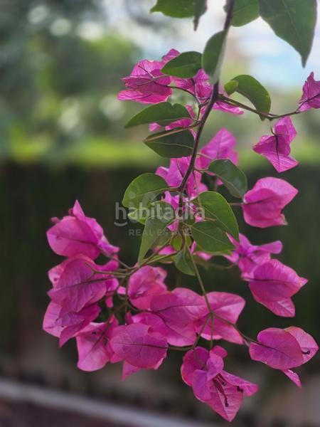 Foto 6f2c66c3-fa15-48fc-a729-af6e49c376e8. Haus mit heizung parking pool in Benimeit-Tabaira Moraira