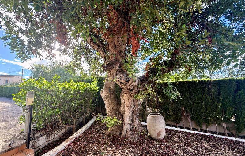 Foto 88c2815a-1c8e-4c71-b6c9-70dfad79d6a0. Haus mit heizung parking pool in Benimeit-Tabaira Moraira