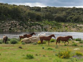 Terreno residenziale in Ledesma