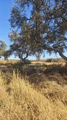 Terrain résidentiel à Villablanca