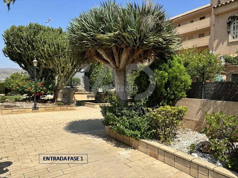 Foto 66838353-0c21-405d-a4c0-9614cc174556. Flat with parking pool in Campello Playa Campello (el)