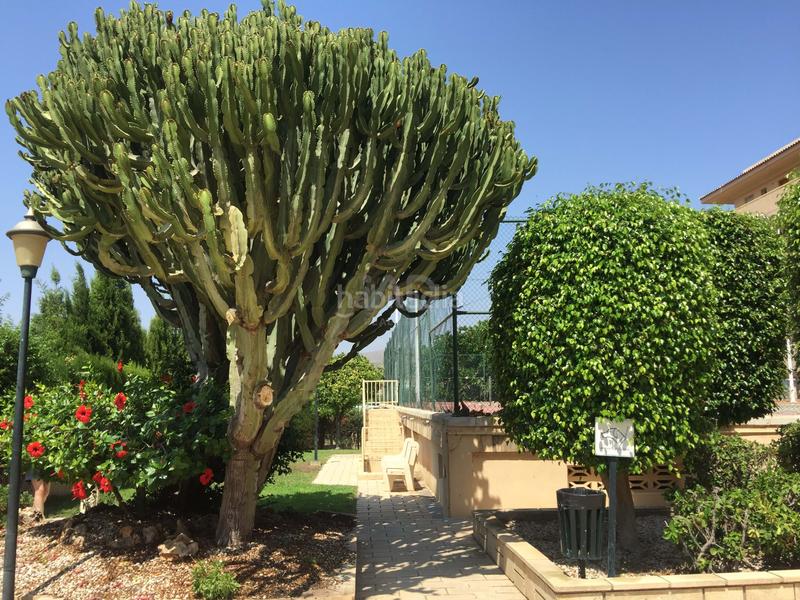 Foto 017e2f3e-e77f-45d7-a5fb-ed4f05d9d063. Pis amb aparcament piscina a Campello Playa Campello (el)