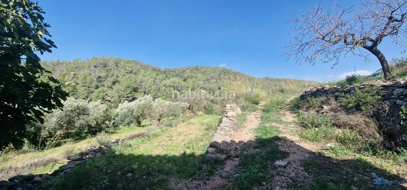 Foto 056173ec-3191-44d7-8280-8e87a6da95e6. Terrain résidentiel dans urbanización hons políg.19 políg.19 dans Rasquera