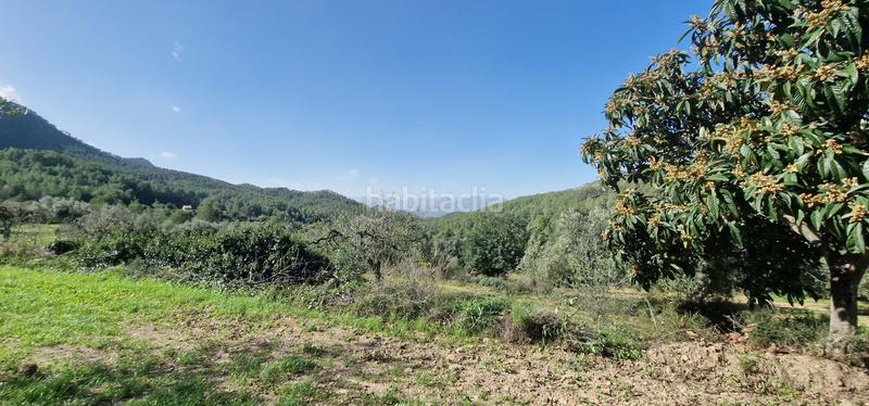 Foto da6b3c60-5c42-495a-9b54-2bf7a9467b52. Terrain résidentiel dans urbanización hons políg.19 políg.19 dans Rasquera