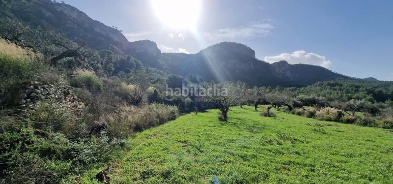 Foto e5b730cd-926c-411b-b040-916a6317994b. Terrain résidentiel dans urbanización hons políg.19 políg.19 dans Rasquera