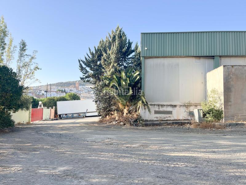 Foto 286fbe52-a93a-42ba-abfd-869982357875. Location local commercial dans calle colmenar s/n s/n dans Casabermeja