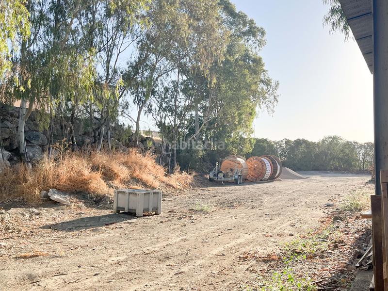 Foto 584f99d9-fa48-4381-9482-ae3602fb25dd. Location local commercial dans calle colmenar s/n s/n dans Casabermeja