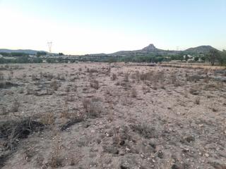 Residential Plot in Salinas