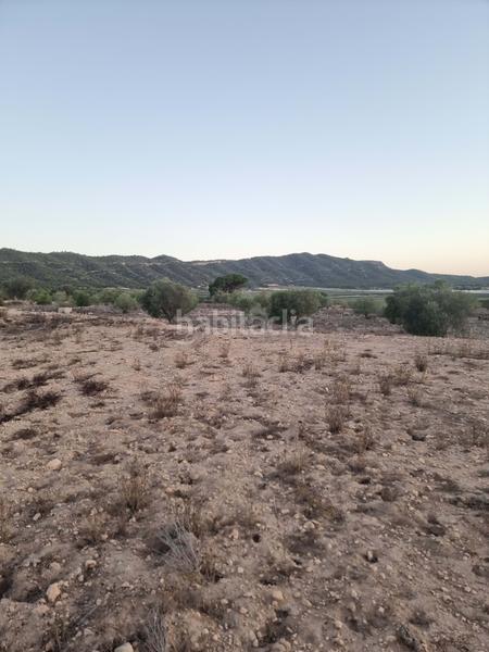 Foto 2118252e-ffac-47d2-83f6-f921e6556425. Terrain résidentiel dans Salinas