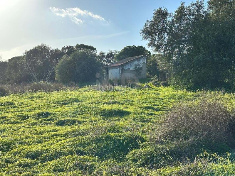 Foto 0fe8f8e4-764d-4ab7-a1fc-f2ce86ff16e4. Terrain résidentiel dans Villablanca