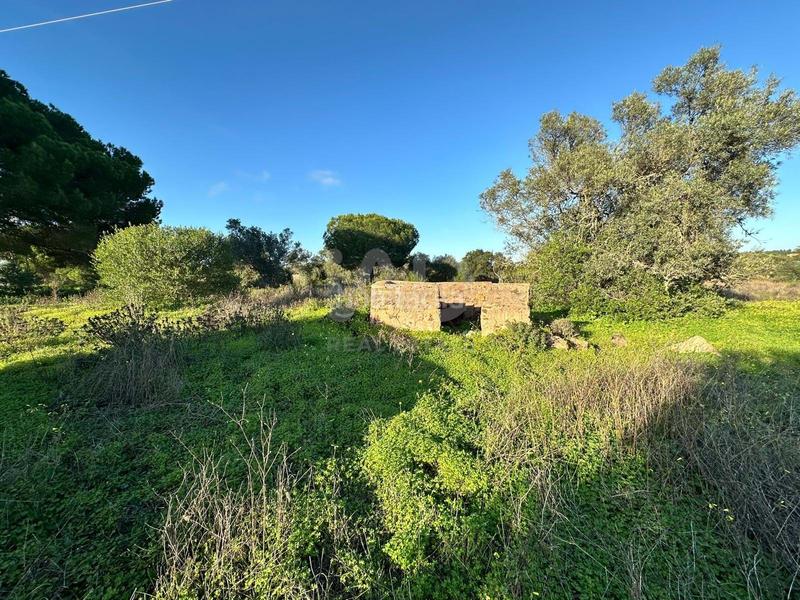 Foto 13aa18c5-7d4f-4ad7-aa2a-81d2f4543593. Terrain résidentiel dans Villablanca