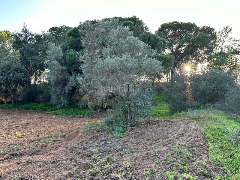 Foto 38f93bb4-3558-4aaa-abe2-bf2875857a5e. Terrain résidentiel dans Villablanca