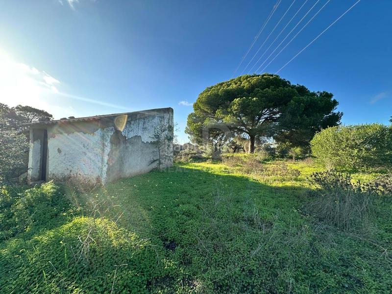 Foto 5b69cb32-3db4-4d10-9895-d529ad01062c. Terrain résidentiel dans Villablanca