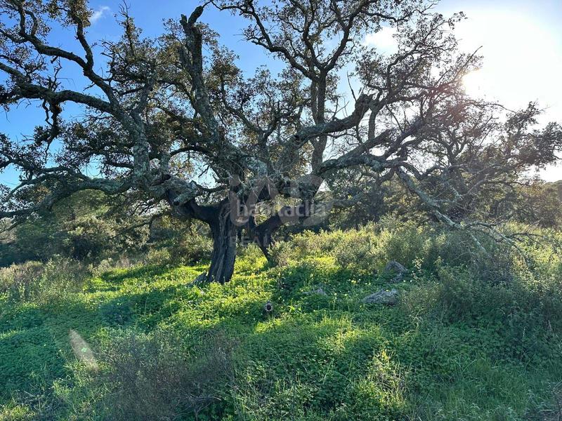 Foto 609a7609-9613-4b20-9595-235e820a4332. Terrain résidentiel dans Villablanca