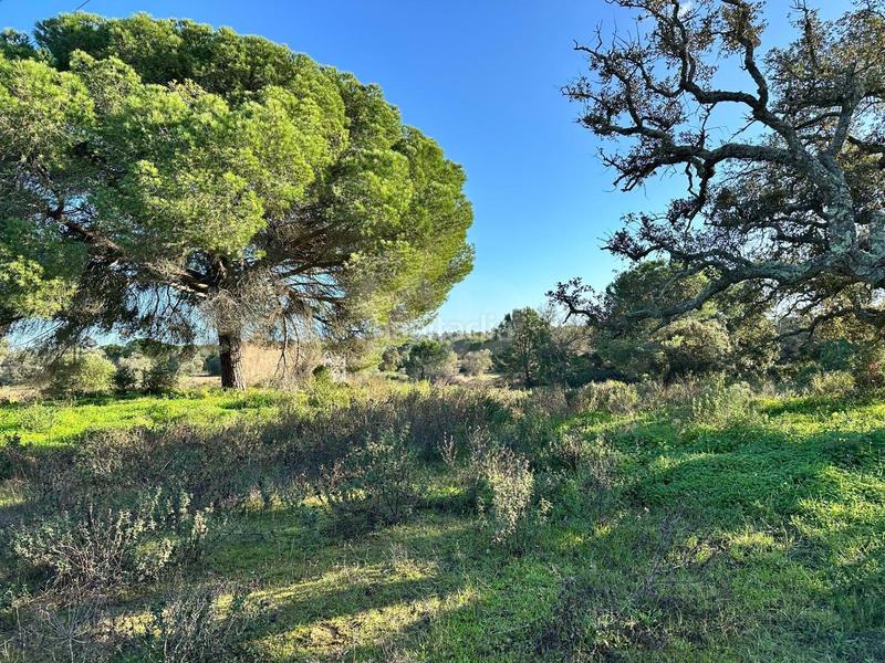 Foto 849f0b9e-0501-42ac-8792-5718ea802d1f. Terrain résidentiel dans Villablanca