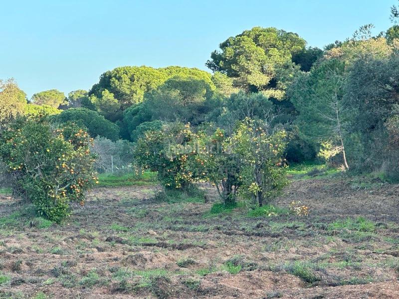 Foto b7041f32-e011-4b3d-b077-07af2efc71b5. Terrain résidentiel dans Villablanca