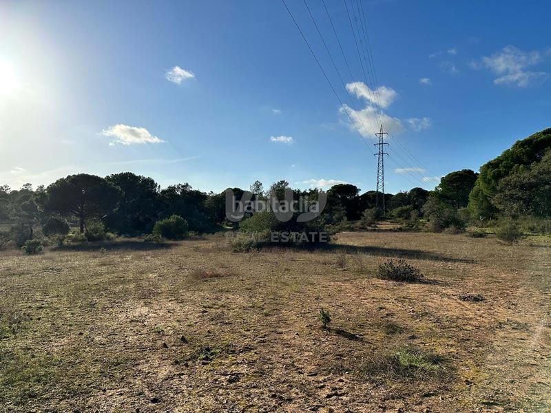 Foto d725d0b9-5cae-4836-8ba7-a9375a231d44. Terrain résidentiel dans Villablanca