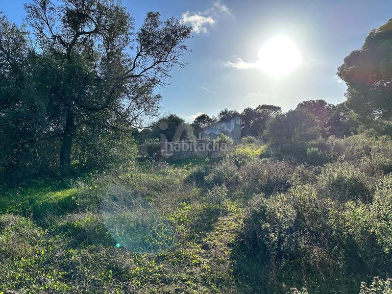 Foto d7680cba-34cf-40bd-812b-b4cbf04d29c6. Terrain résidentiel dans Villablanca