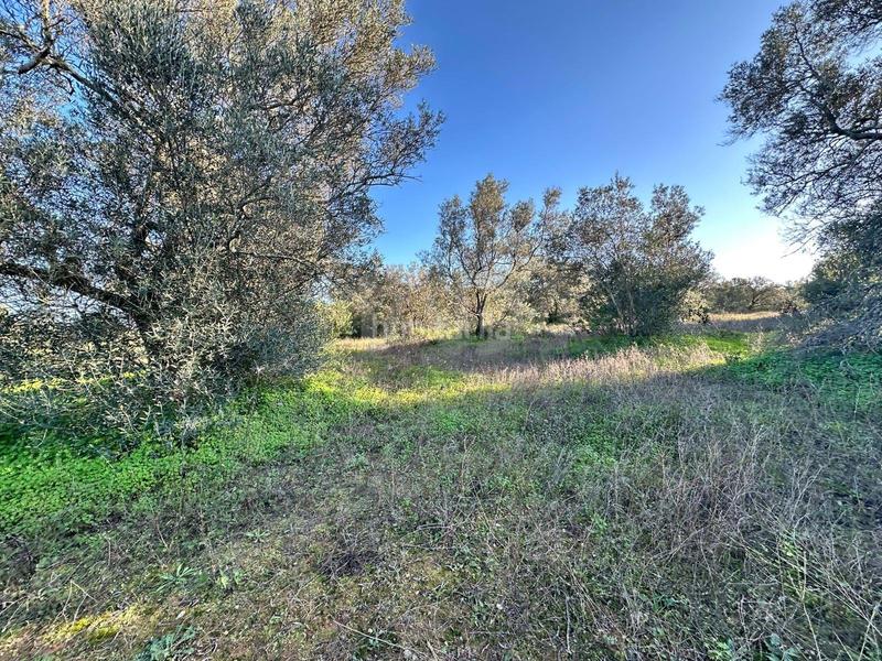 Foto db3a1985-2604-4130-8b00-b7905c1c2035. Terrain résidentiel dans Villablanca