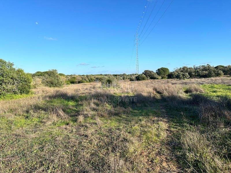 Foto ddf041e3-b8a5-4aaf-8902-81da4d94612d. Terrain résidentiel dans Villablanca