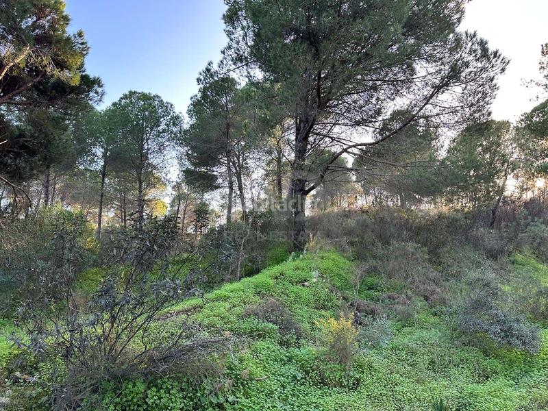 Foto e97ee323-f8ad-4df0-944f-8aace9ad997e. Terrain résidentiel dans Villablanca