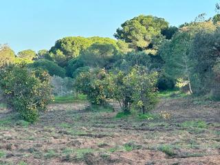 Terreno residenziale in Villablanca