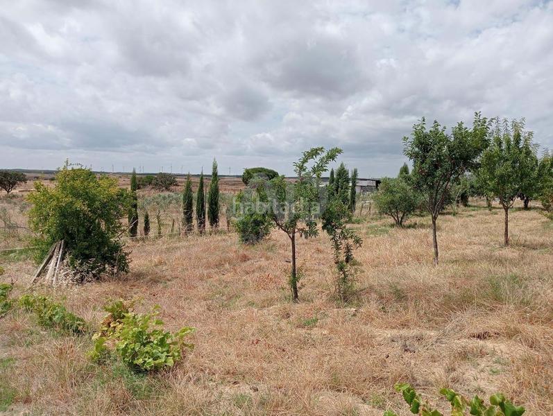 Foto 70fff944-a3e2-4c7c-9bf5-348ba0852648. Casa en Villablanca