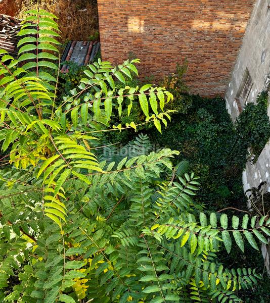 Foto 1b654501-aa45-4c12-b509-f387c23172b1. Edificio en calle pérez galdós 32 en Crucero León