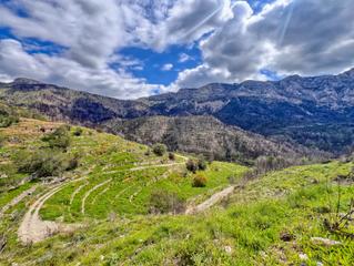 Terreny residencial a Tárbena
