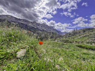 Terreno residenziale in Tárbena