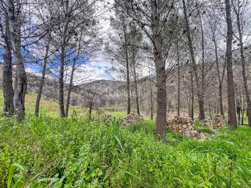 Foto 0150c5f8-8ed7-4771-8db0-05efd40cee16. Residential plot in Tárbena