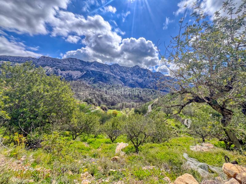 Foto 85150861-dbb6-46e3-9433-c22f586cf4c5. Residential plot in Tárbena